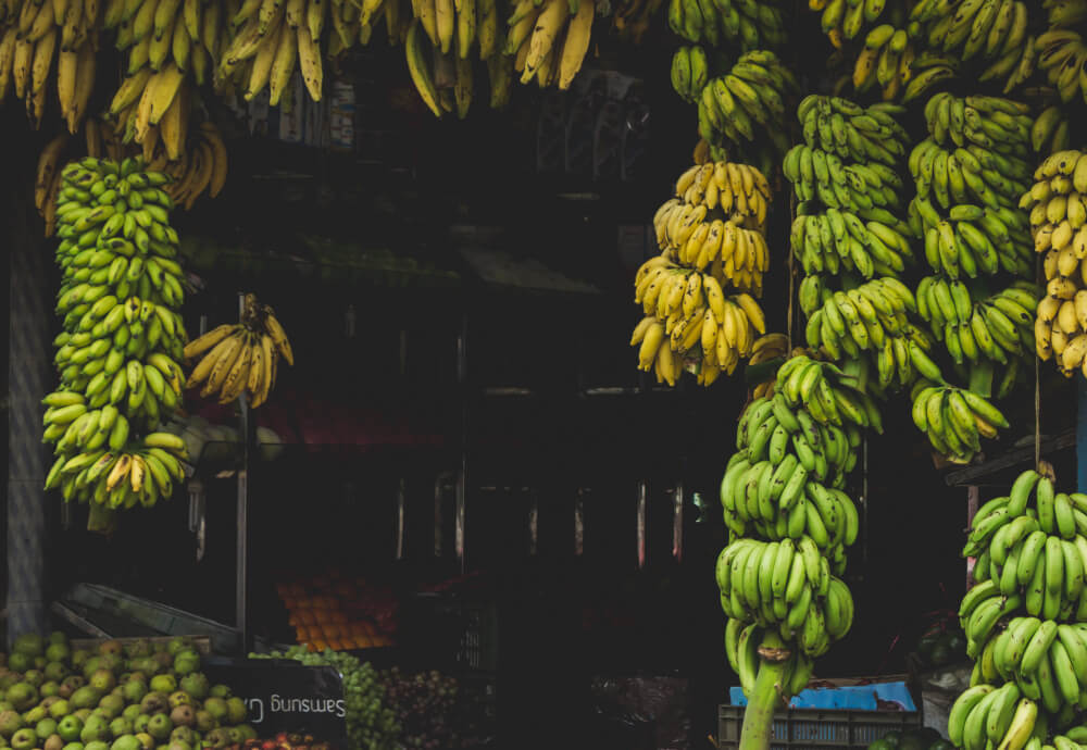 Banana Export to Saudi Arabia